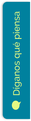 Magnolia Programs